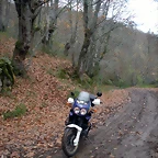 DSCN0858