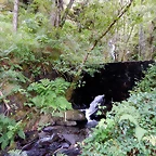 DSCN1324