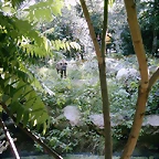 PIC03460