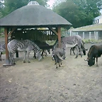 PIC03273