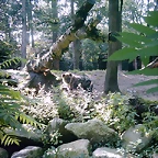 PIC03466