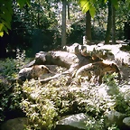 PIC03463