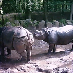 PIC03426