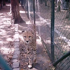 PIC03454