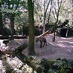 PIC03458