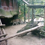 PIC03443