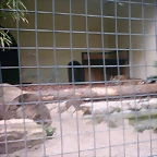 PIC03269