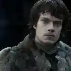 theongreyjoy