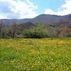 DSCN9519