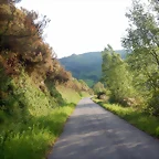 DSCN2131