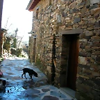 DSCN7955