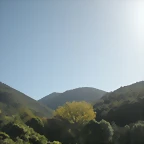 DSCN9992