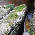 DSCN0761