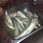 10062012355