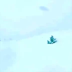 Video Hugo IG 21-3-2018 (6)