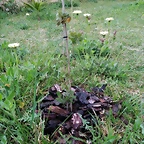 IMG_20200420_145407