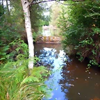 DSCN6335