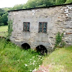 DSCN4356