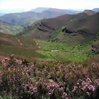 DSCF2559
