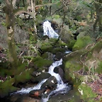 DSCN1700