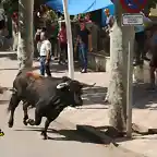 38, por la avenida 5, marca2