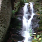 DSCN6315
