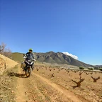 Almendroatce