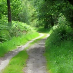 73-IMG_1544