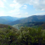 DSCN9601