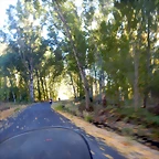 DSCN8939