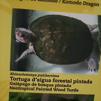 Zoo de Barcelona 15-02-11 019