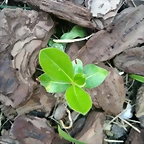 IMG_20200320_122236