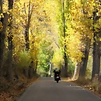A28