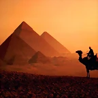 Egyptian Evening