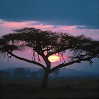 East African Sunset