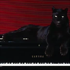 Ebony and Ivories