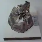 Leopardo de las nieves (7)