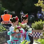 11, ofrenda de flores, marca