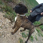 Rufo 5