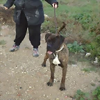 Rufo 6