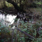 DSCN0569