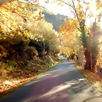DSCN0007