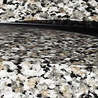 DSCF1194