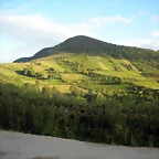 DSCN4323