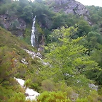 DSCN3879