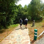DSCN6595