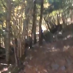 Video Hugo IG Stories 26-10-2019 (11)