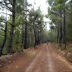 DSCN7216