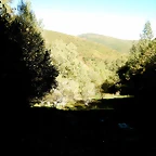 DSCN7997