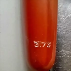 20240215_110153